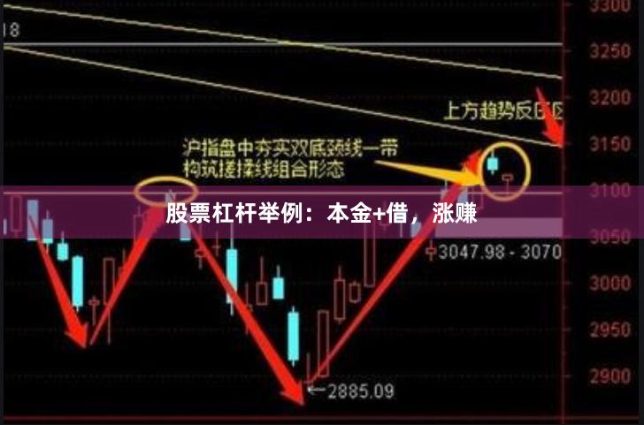 股票杠杆举例：本金+借，涨赚