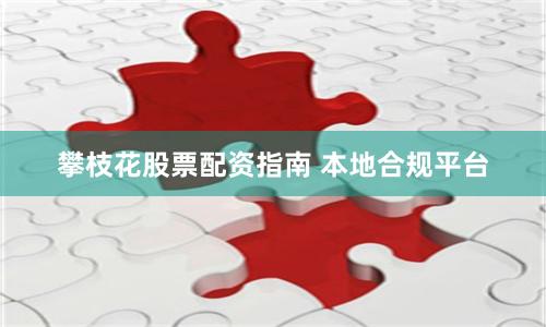 攀枝花股票配资指南 本地合规平台