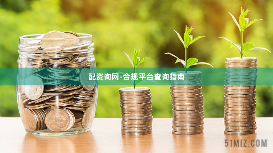 配资询网-合规平台查询指南